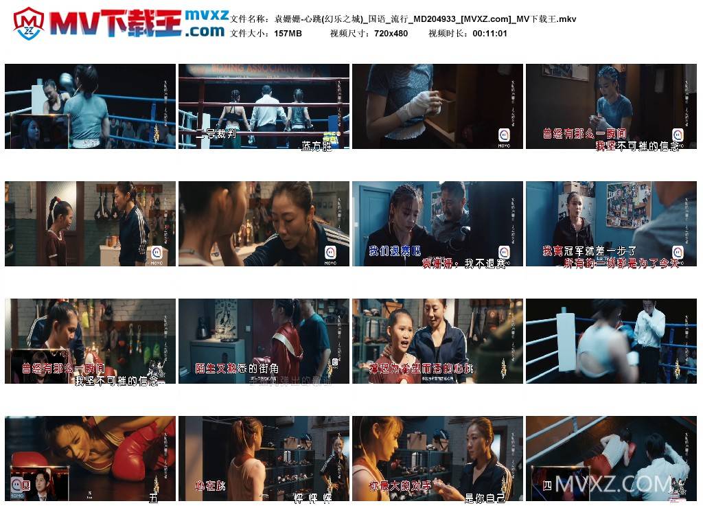 袁姗姗-心跳(幻乐之城)_国语_流行_MD204933